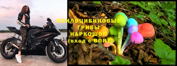 СК Арсеньев