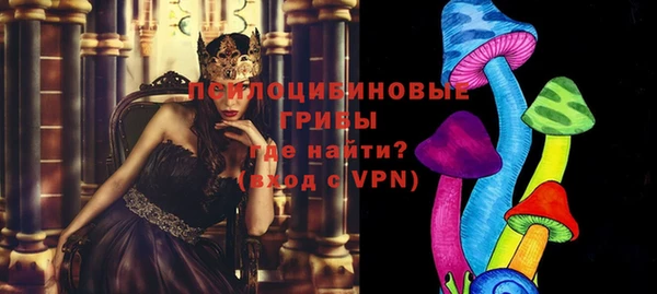 шишки Балабаново