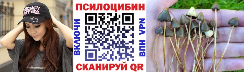 Псилоцибиновые грибы Magic Shrooms  Николаевск-на-Амуре 